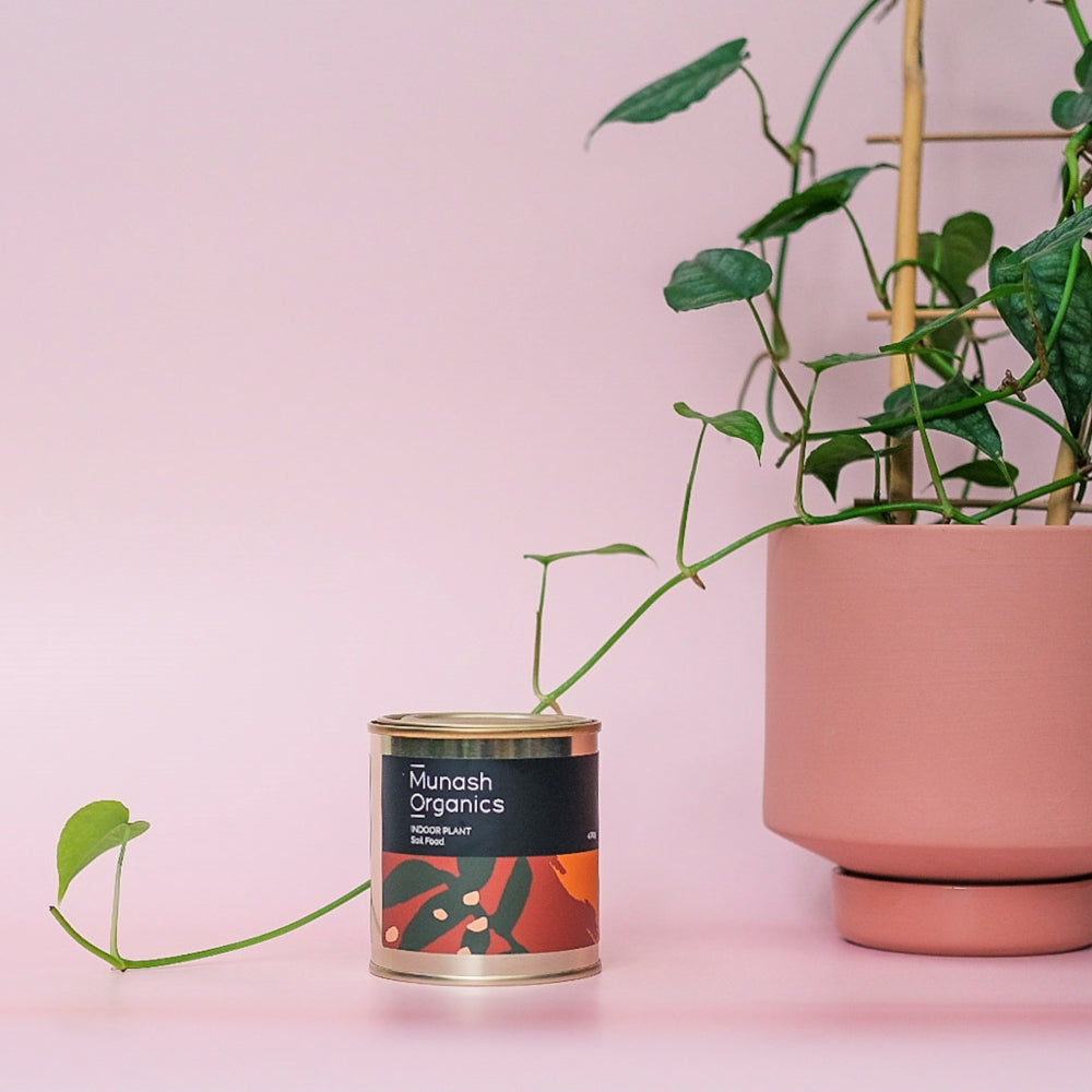 Munash Organics Indoor Plant Soil Food