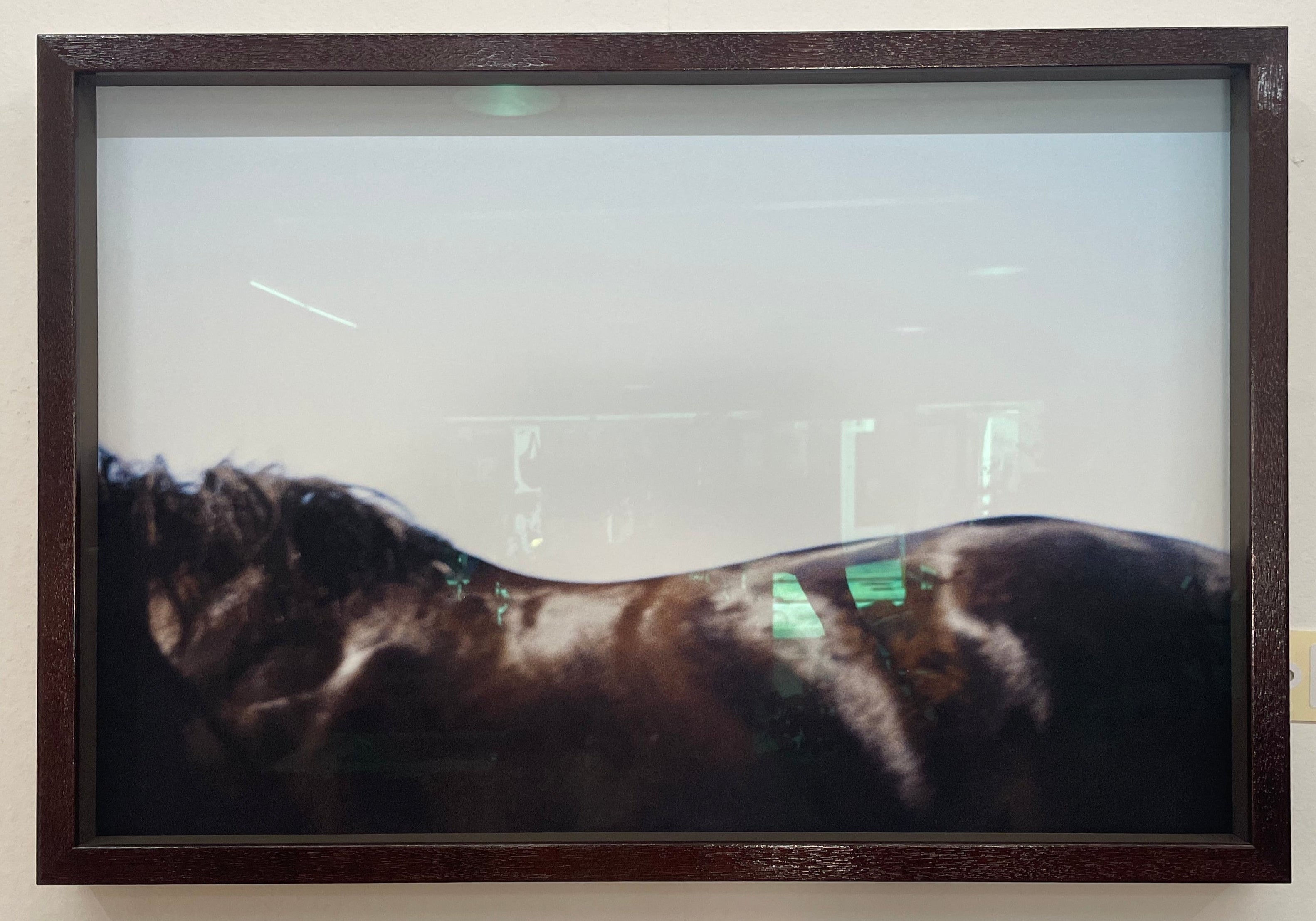 Framed artwork of a horse back on a white wall
