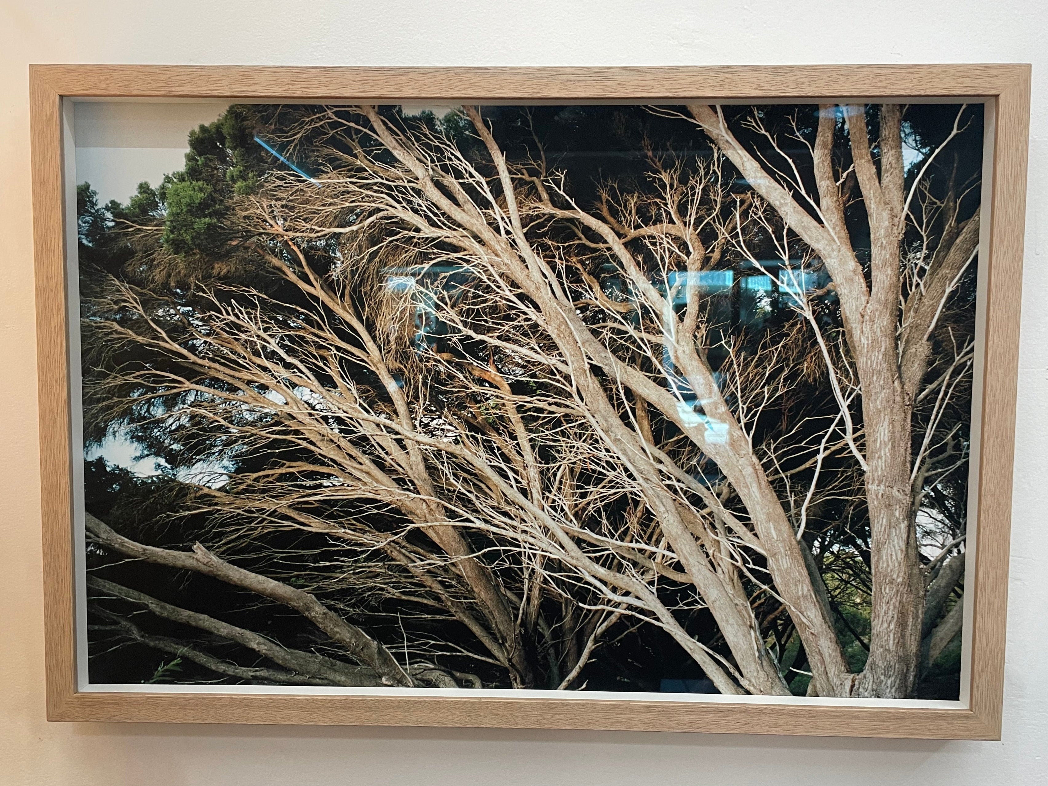 Swanbourne, 2021 - Kate Hulett, Framed