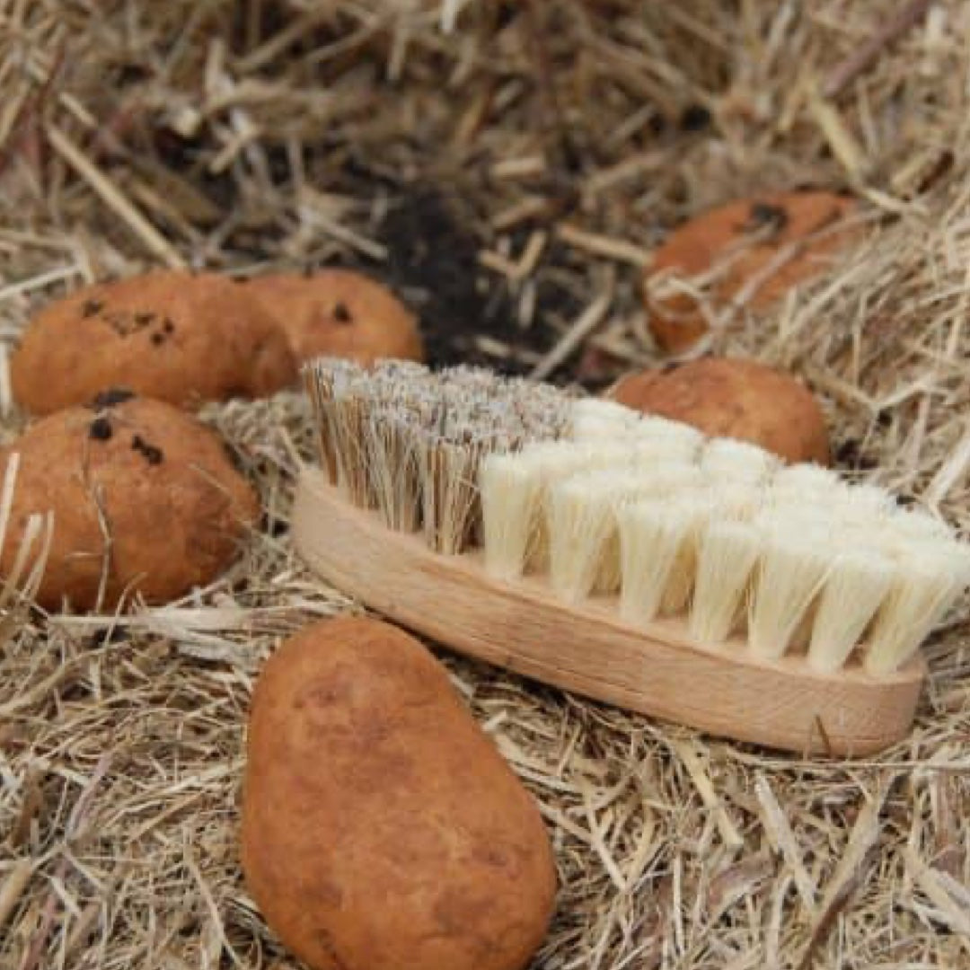 Vegetable Brush