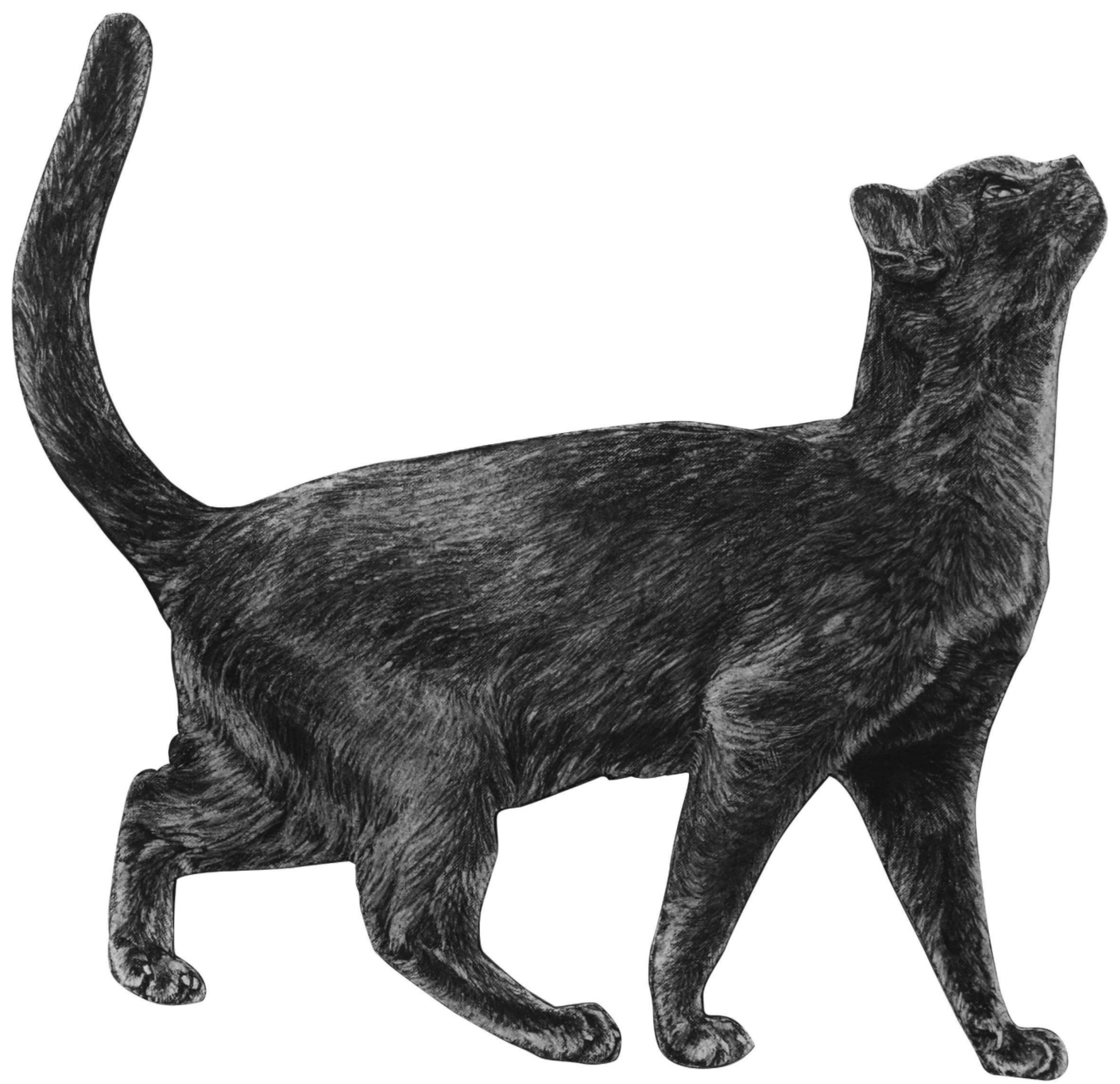 Anna's Animal Stickers - Cat