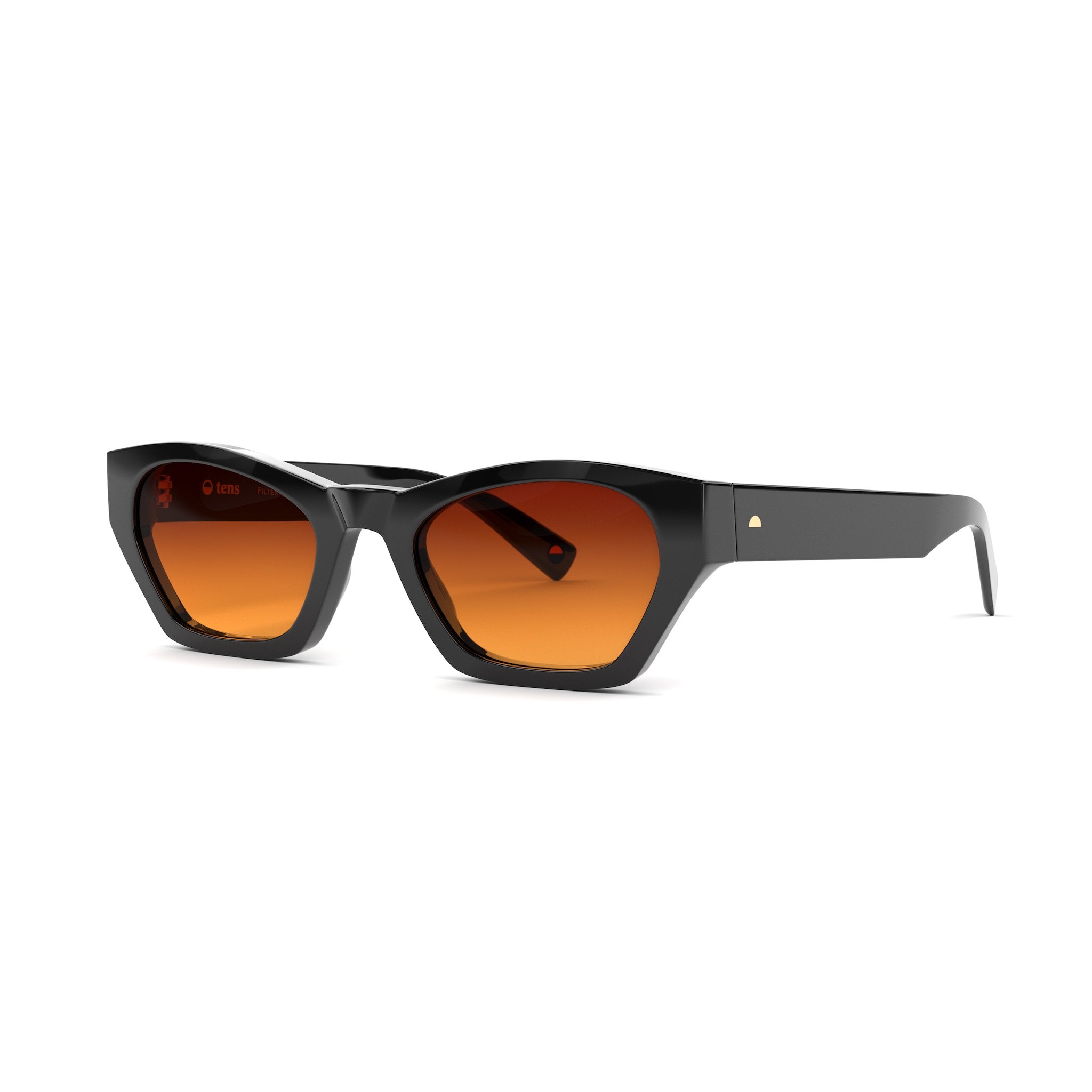 Tens Sunglasses - Frankie Polished Black (Tropic High lens)