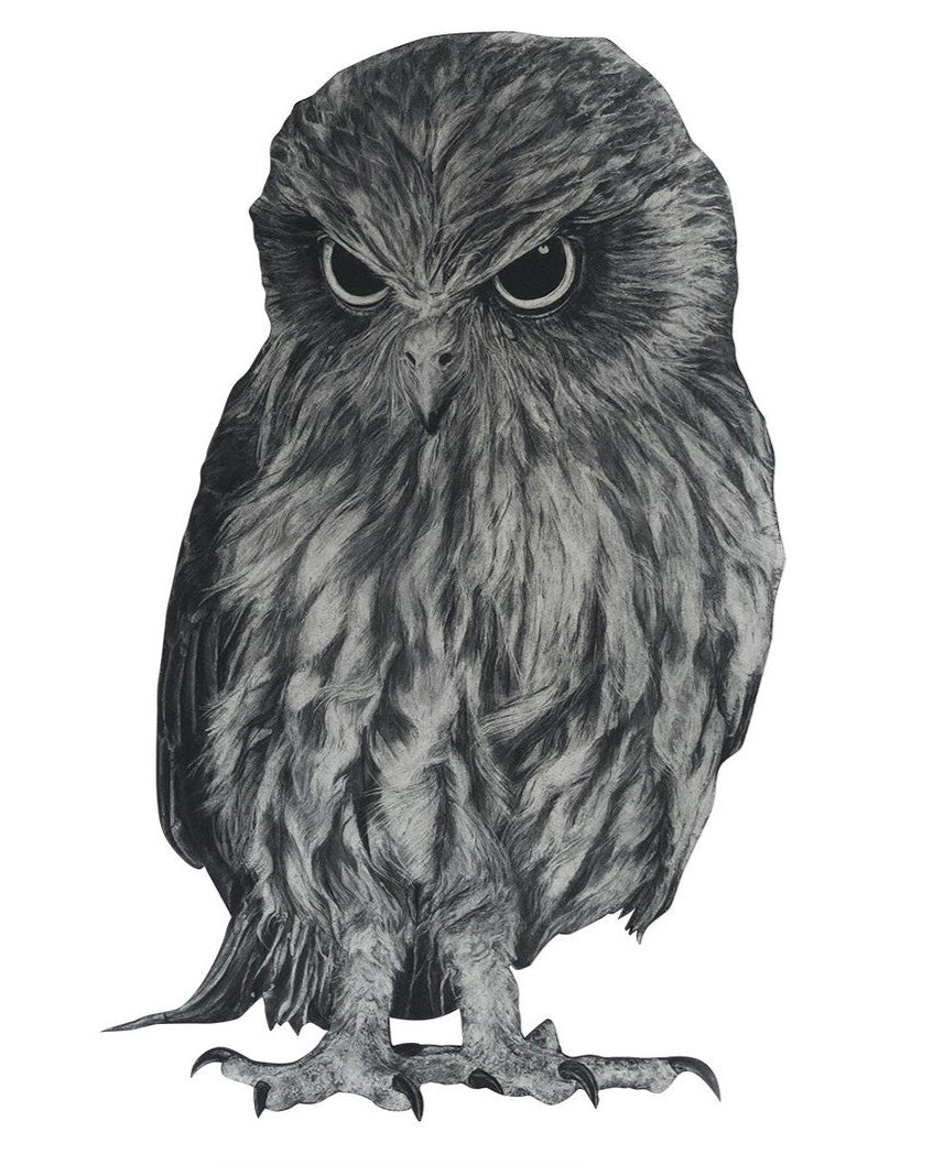 Anna's Animal Stickers - Owl