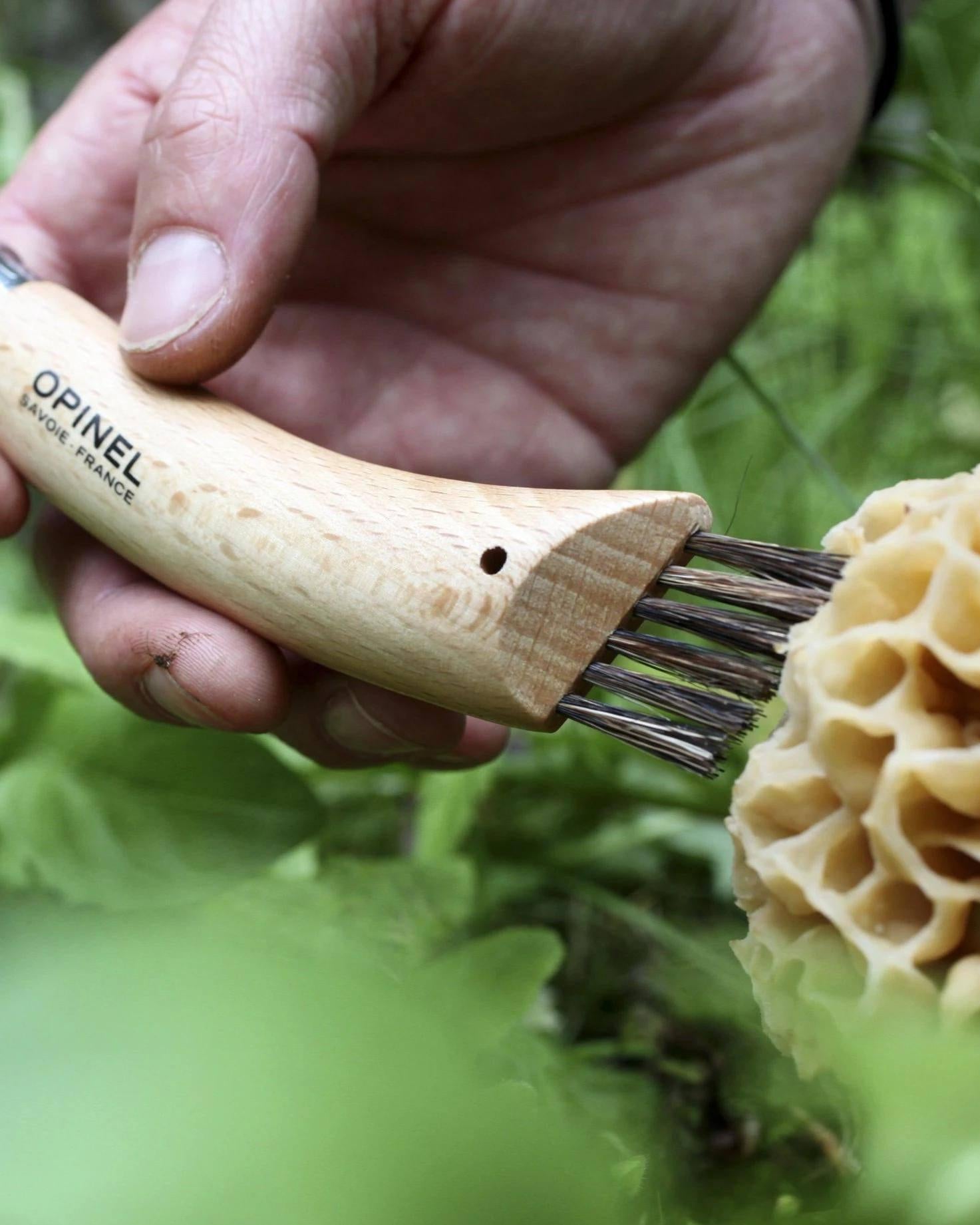 Opinel No. 8 Mushroom Knife
