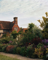 The Avant Gardens