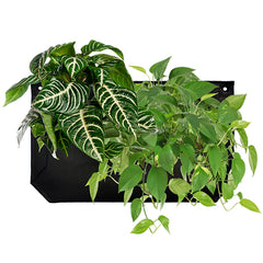 WALLY 1 Wall Planter Black