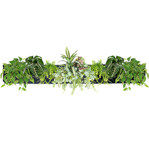 WALLY 5 Wall Planter Black