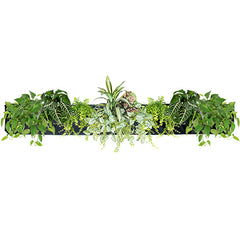 WALLY 5 Wall Planter Black