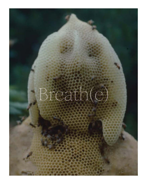 Breath(e) - Toward Climate and Social Justice