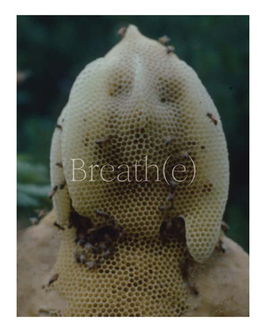 Breath(e) - Toward Climate and Social Justice