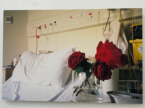 'Hospital Study 3 (From Jeanette's Garden)' on Aluminium - Kate Hulett