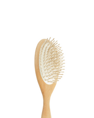 Beechwood Hair Brush - pins