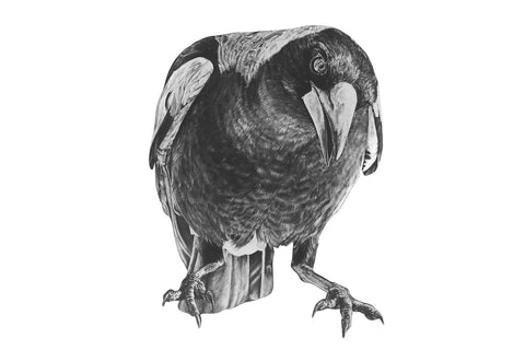 Anna's Animal Stickers - single magpie