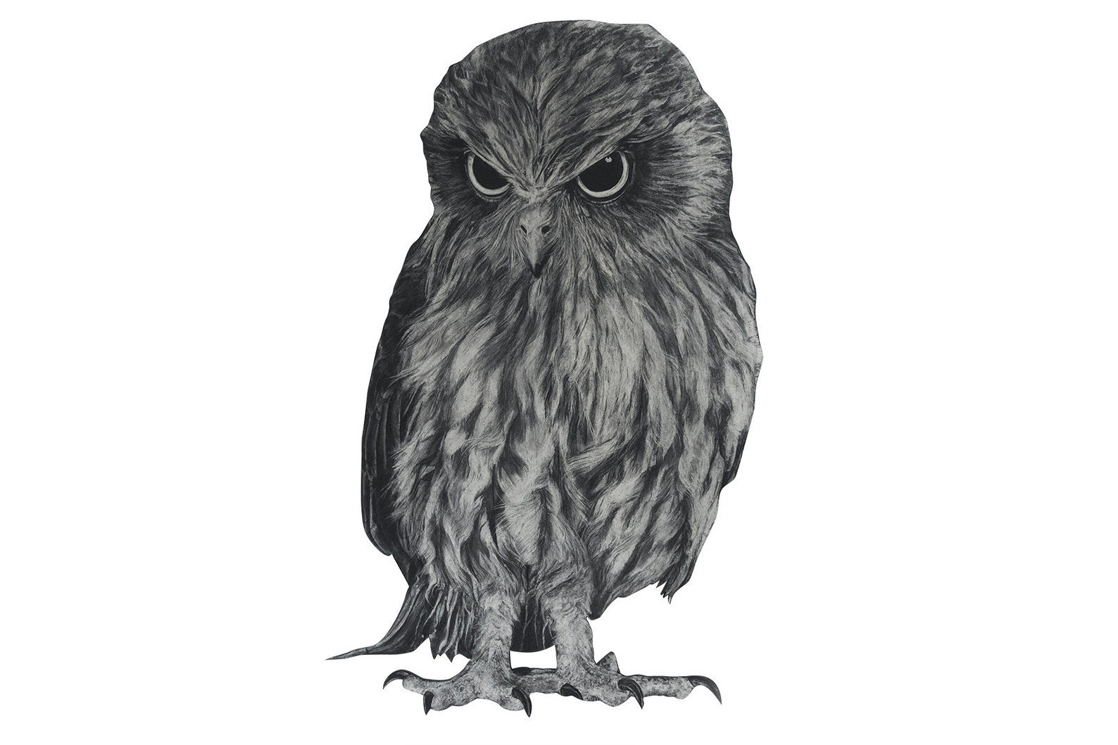 Anna's Animal Stickers - Owl