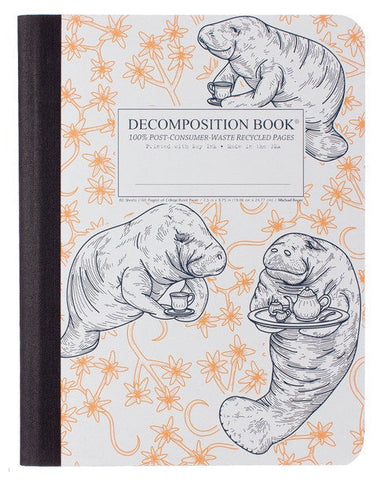 Decomposition Notebook - Manatea