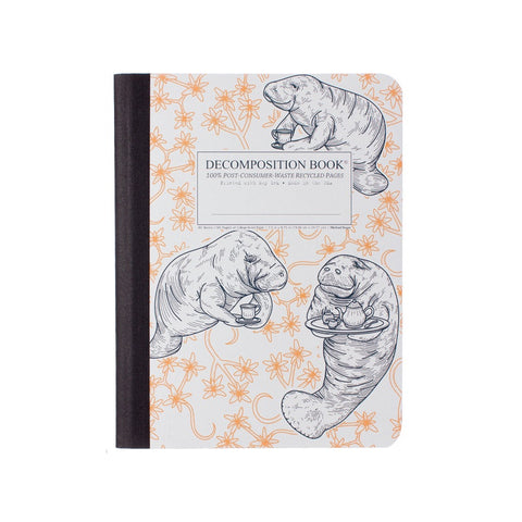 Decomposition Notebook - Manatea