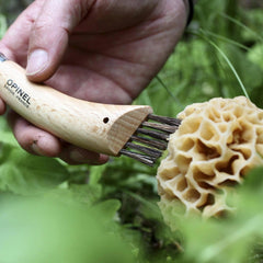 Opinel No. 8 Mushroom Knife